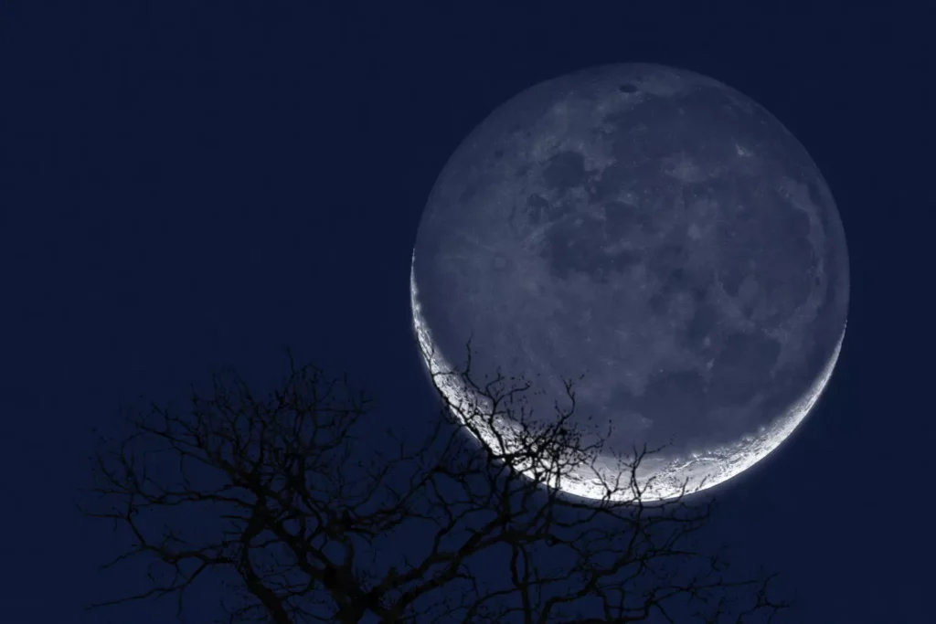 Vue de la lune depuis le sol, pendant la nuit, derrière un arbre